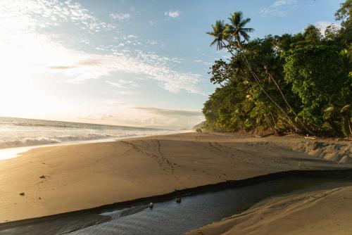 El Remanso Rainforest Lodge - Photo 4