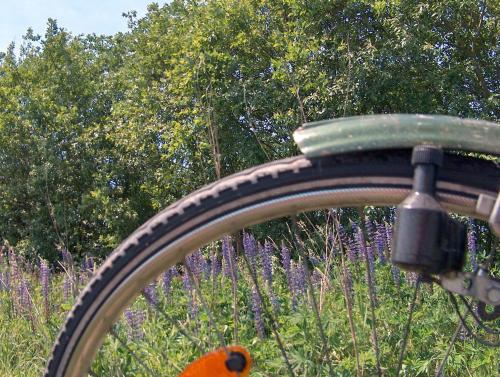 Landhotel Ridder - image 2