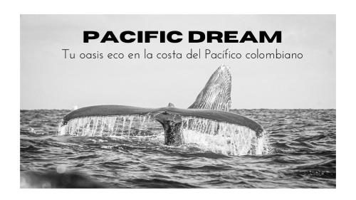 Pacific Dream Hostal