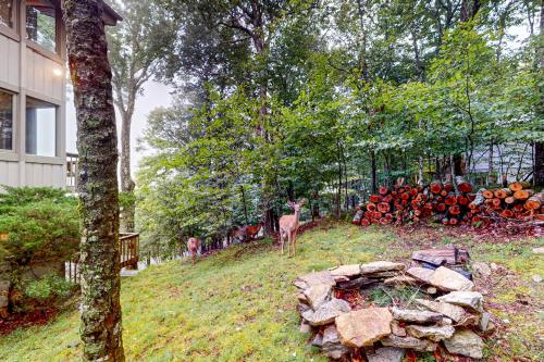 Upta Beech, Beech Mountain (Foto 8)