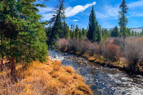 Winter Park Mountain Gem in Winter Park, USA