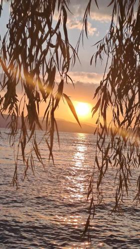 ,,Villa Vera" Peshtani in Peshtani