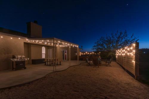 Golden Serenity in Joshua Tree, USA