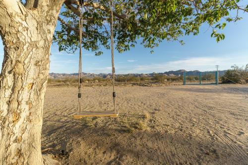 Golden Serenity in Joshua Tree, USA