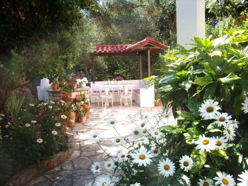 Villa Caterina - image 2
