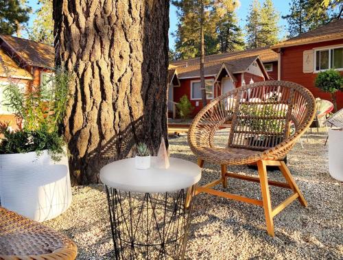 View, Grand Pine Cabins in Wrightwood (CA)