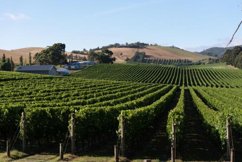 Soumah of Yarra Valley