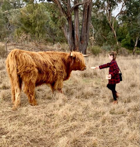 Burraburoo Retreat