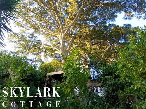 Skylark Cottage in 巴圖爾斯特