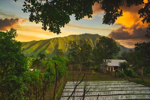 View, Tresno Sembalun Rinjani in Sembalun