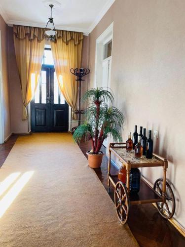 Guest House Adigeni in Abastumani