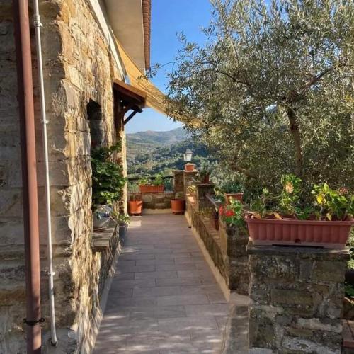 Casa La Lamia B&B in Perdifumo