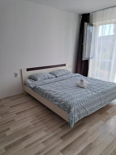 New Apartament Baia Mare 7