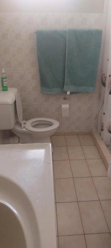 1 bed garden flat