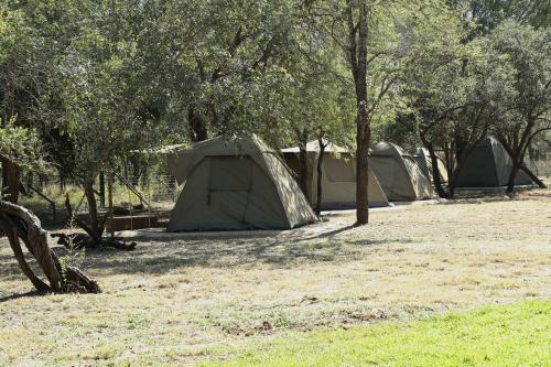Nyala Camp - Tented Camp in Gravelotte