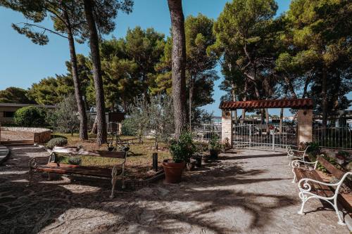 Matilde Beach Resort - image 2