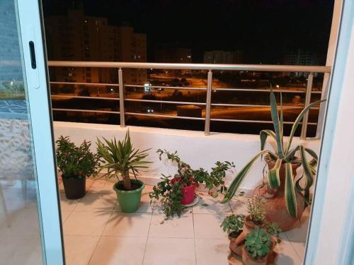 LUX and Splendid 2 bedrooms in Jardin Carthage Tunis in Jardins De Carthage