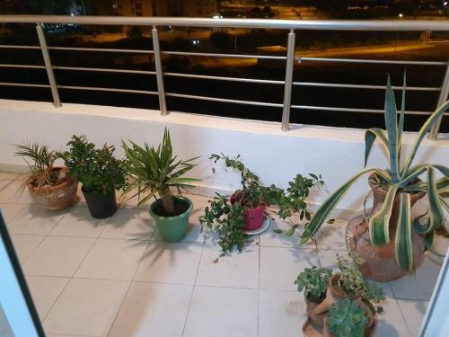 LUX and Splendid 2 bedrooms in Jardin Carthage Tunis in Jardins De Carthage