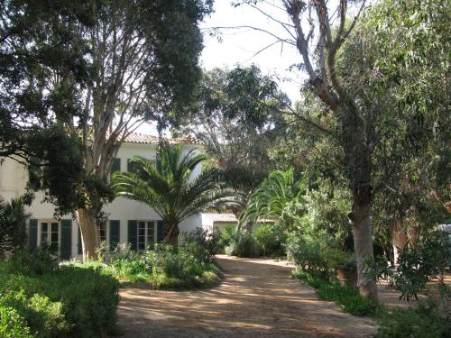 Dārzs, Le Manoir de Port-Cros in Port-Cros