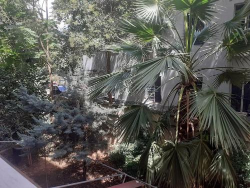 Orion Central Apartment, Tirana (Foto 11)