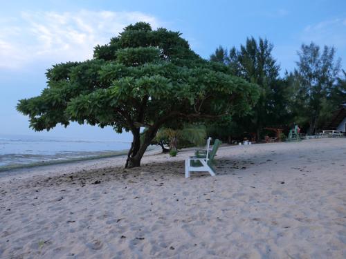 Beach, Playa del Rosario Resort in Baganga