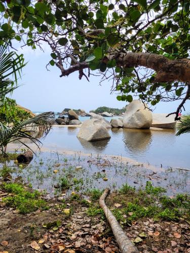 Tayrona Angel Lodge