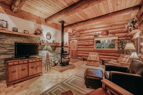 11SL - Wi-Fi - NO PETS Log Cabin - Sleeps 7 cabin