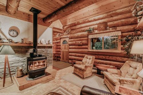 11SL - Wi-Fi - NO PETS Log Cabin - Sleeps 7 cabin