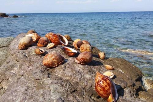 Κατοικία Πανόραμα, Πραγματευτή Λεωνιδίου, Τ.Κ.22300