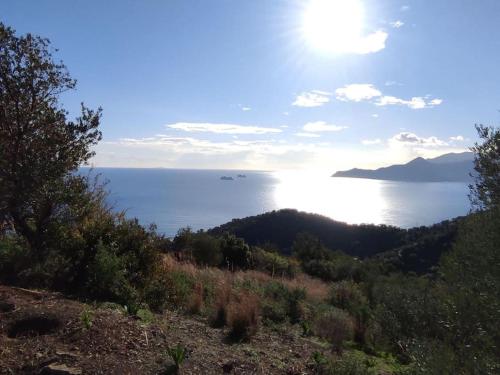 Κατοικία Πανόραμα, Πραγματευτή Λεωνιδίου, Τ.Κ.22300