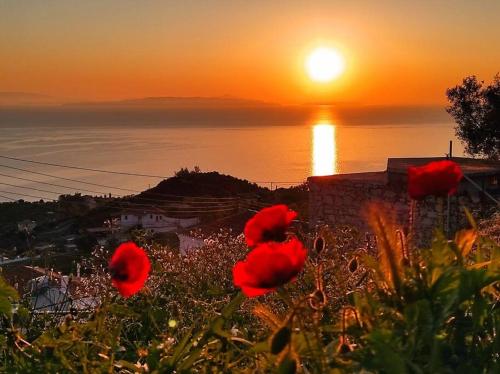 Κατοικία Πανόραμα, Πραγματευτή Λεωνιδίου, Τ.Κ.22300