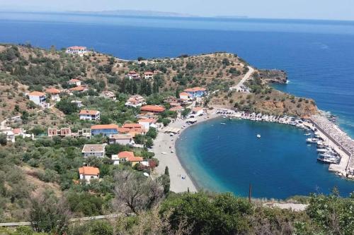 Κατοικία Πανόραμα, Πραγματευτή Λεωνιδίου, Τ.Κ.22300 (Κατοικια Πανοραμα, Πραγματευτη Λεωνιδιου, Τ.Κ.22300) in 森帕蒂基