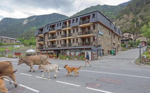 Aparthotel La Tulipa - main image