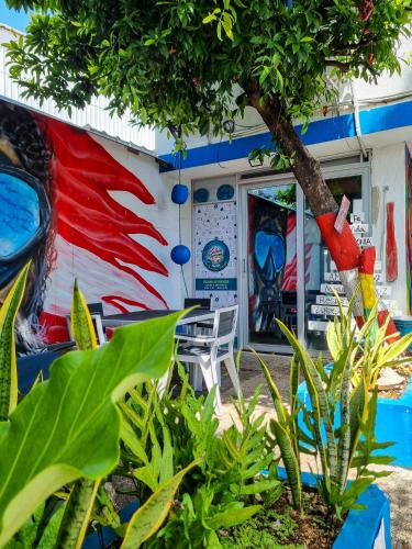 Παροχές, Posada Cultural Bahia Sonora in νήσος Σαν Αντρές