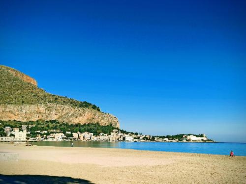 Green House Beach 4