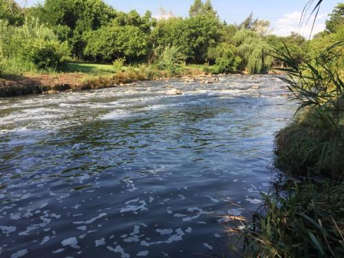 Forestiva Farm - River Cottage