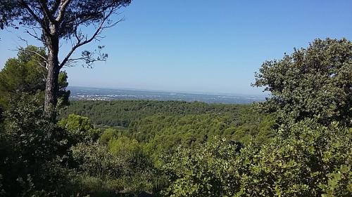 Mas de charme au calme en pleine garrigue