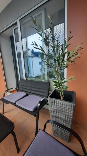 Apartman Tena