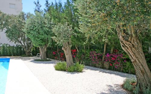 Corina Suites & Apartments - image 12