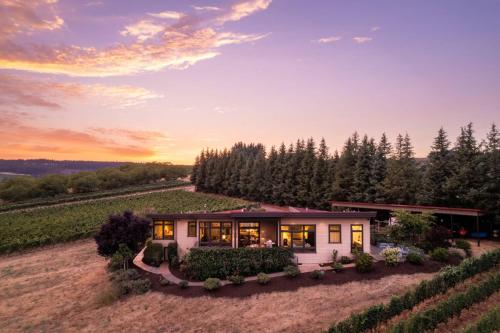 Trellis at Baptista Maresh Vineyard - Dundee