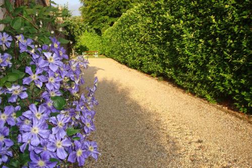 Pinfield Boutique Hotel - image 3