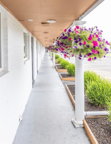 Вид, Butler Inn in Оксфорд (Огайо)