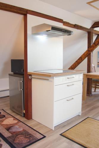 Apartment Traumzeit mit Balkon in Vorstadtvilla, Dresda (foto 10)