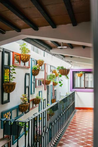 Casa Capirucho, Antigua Guatemala (foto 11)