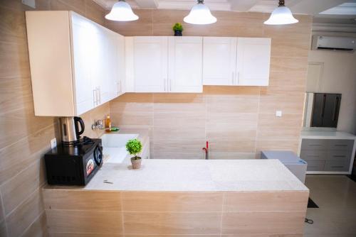 Studio Apartment image 4