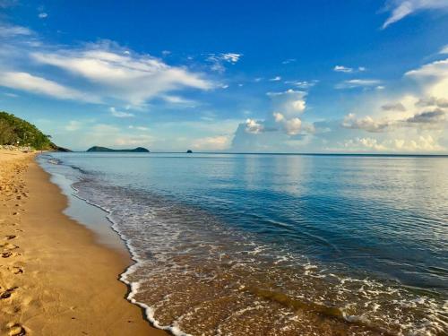 Salt & Sand - Tropical Oasis Footsteps to Beach