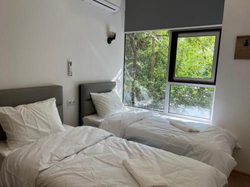 Apple cozy hotel in Τμπιλίσι