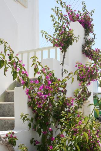 Korali Hotel – Antiparos, UT