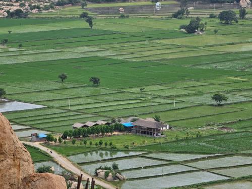 Hippie land hampi