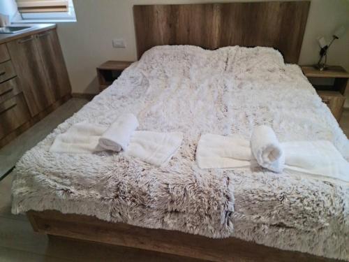 . Apartman LANA 2023